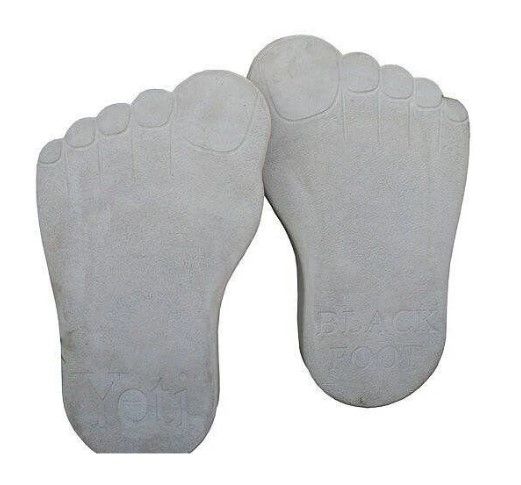 Плитка тротуарная СТОПЫ ( правая +левая) 530*315*50 мм КОМПЛЕКТ